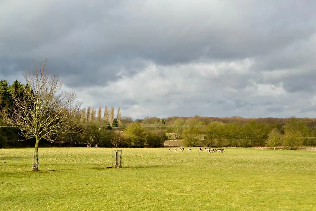 Bed and Breakfast Little Bullocks Farm Takeley Bed & Breakfast