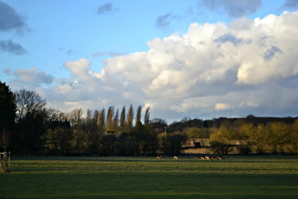 Little Bullocks Farm Bed & Breakfast Takeley