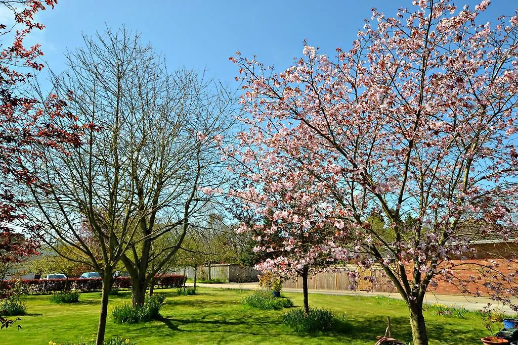 Little Bullocks Farm Bed & Breakfast Takeley United Kingdom